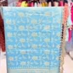 ✨ স্নিগ্ধ আকাশী রঙে আধুনিক সাজ - বানারসী কালেকশন ✨